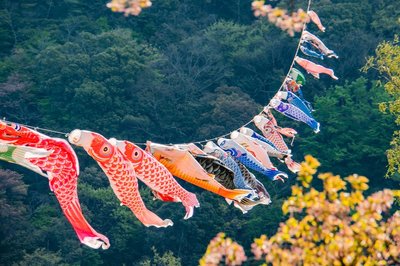🏞️ 오이가와 녹지 공원 (오오이가와료쿠치코엔) 이미지 2